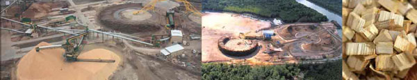 a wood chip plant